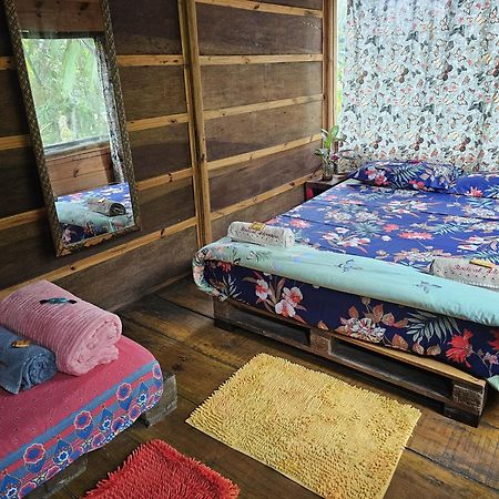 Eco Hostel Organic Life Триндаді Екстер'єр фото