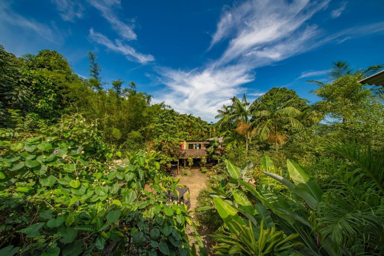 Eco Hostel Organic Life Триндаді Екстер'єр фото