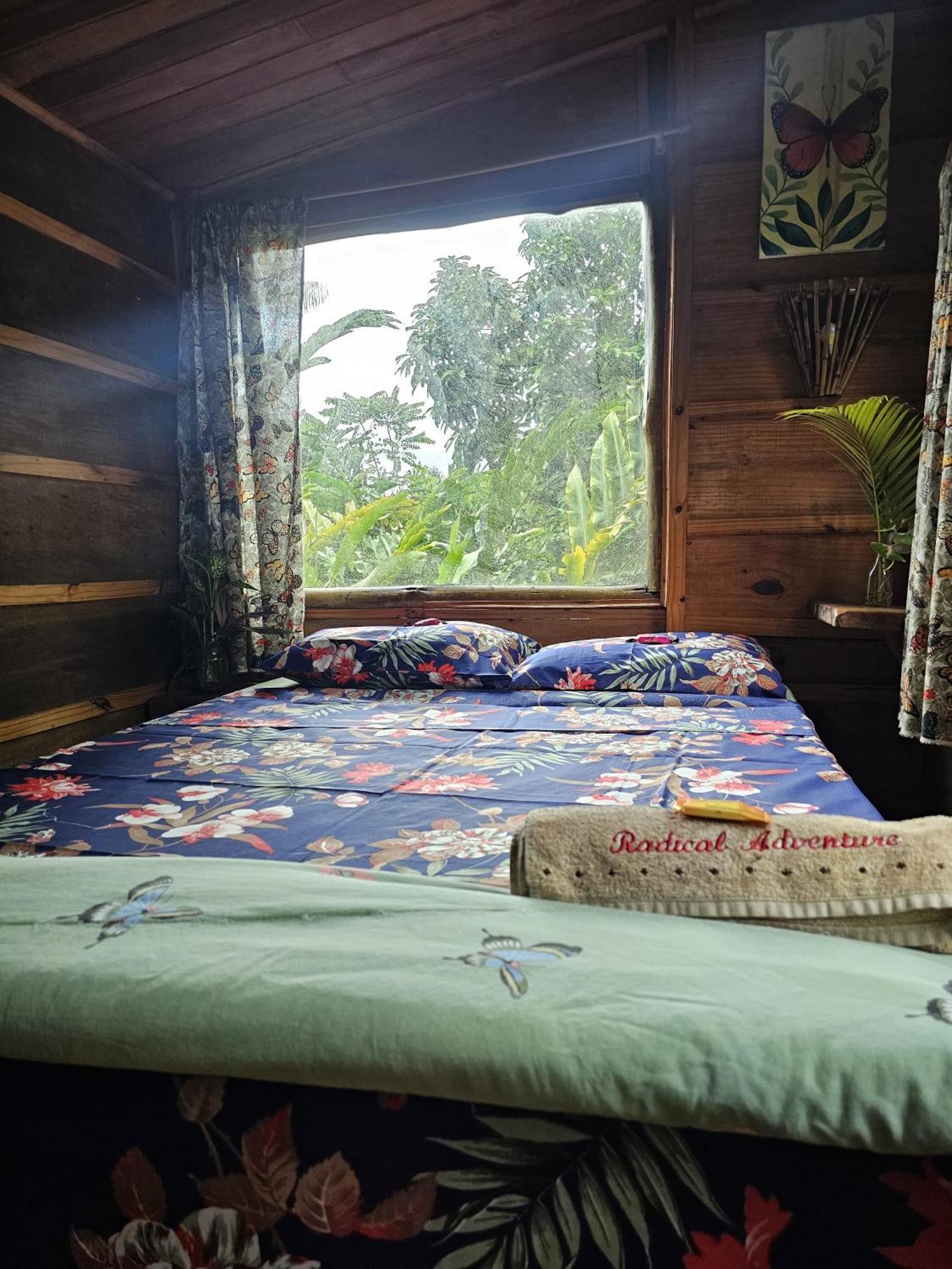 Eco Hostel Organic Life Триндаді Екстер'єр фото